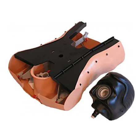 Miniatura 7